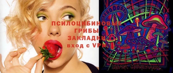 бошки Алексеевка