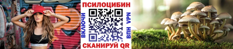 Галлюциногенные грибы мицелий Орлов